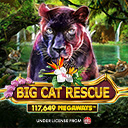 Big Cat Rescue Megaways™